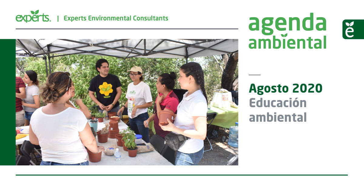 experts-environmental-consultants-agenda-ambiental-agosto-2020-blog