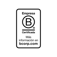 Empresa B 2026